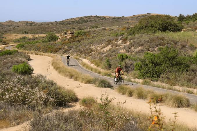 Fatal Rattlesnake Bite in Orange County Sparks Safety Concerns When Hiking