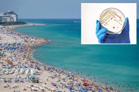 Florida patient dies from rare flesh-eating bacteria in first fatality of the year