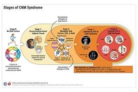 2026 AHA/ACC/ADA/ASN Guideline for the Prevention, Detection, Evaluation, and Management of Cardiovascular-Kidney-Metabolic Syndrome