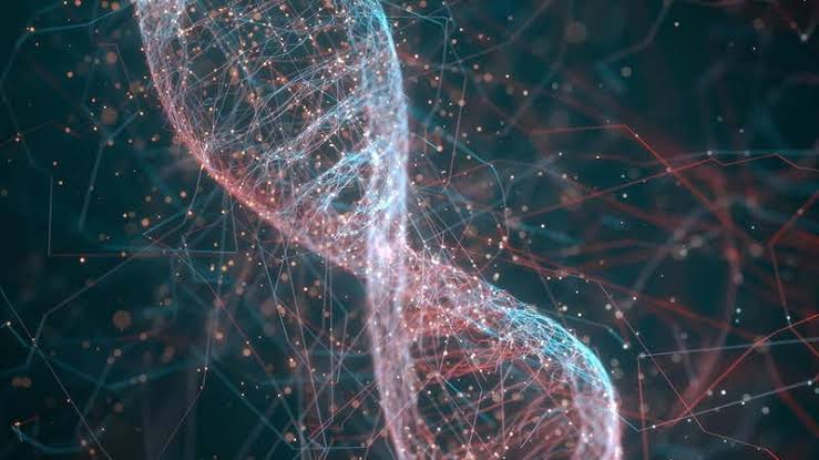 Targeting Allele-Specific Faulty MRNA In SCNA2 Mutation Patients