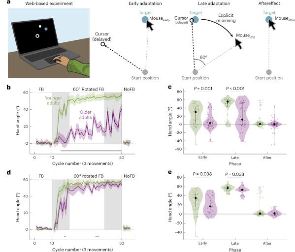 How aging reshapes sensorimotor learning: Older adults may lose explicit strategy but gain implicit adaptation