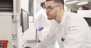 UCLA-led study discovers breakthrough in pancreatic cancer treatment