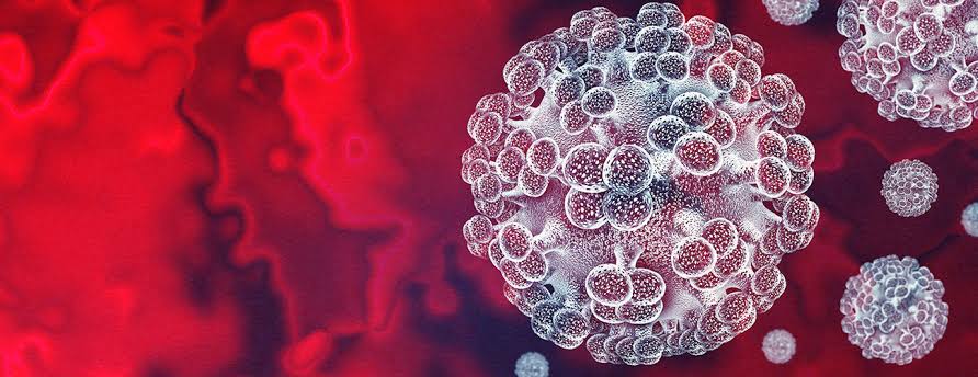 Hantavirus Outbreak 2026