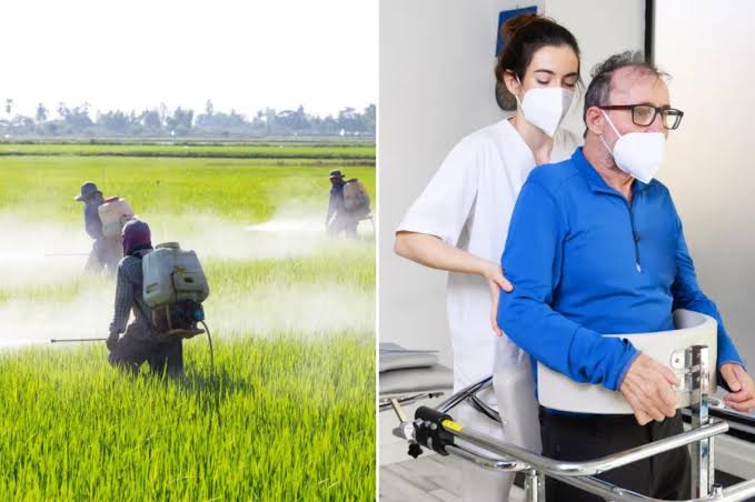 Pesticides linked to up to 70% increased risk of a devastating incurable disease: study