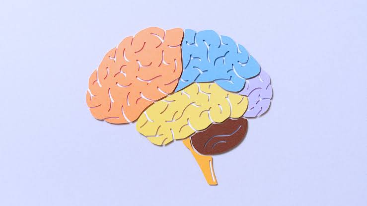 Want to Reduce the Risk of Cognitive Decline and Alzheimer's? Studies Say Do This Every Night
