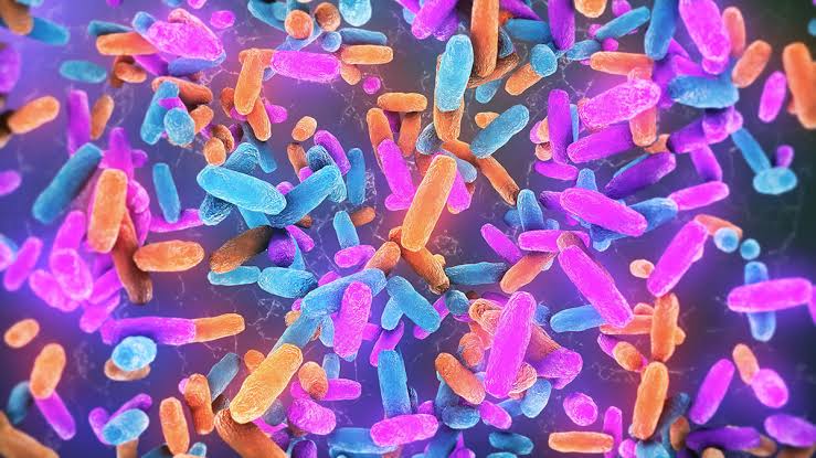 Gut Bacteria Could Be a Hidden Trigger For Neurodegenerative Diseases