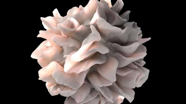 A Common Gym Supplement May Give Cancer-Fighting Cells an Energy Boost