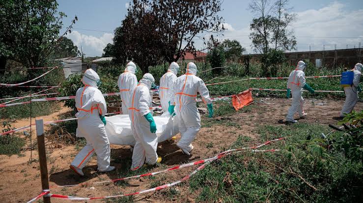 Ebola cases 'increased rapidly' since late May, WHO says