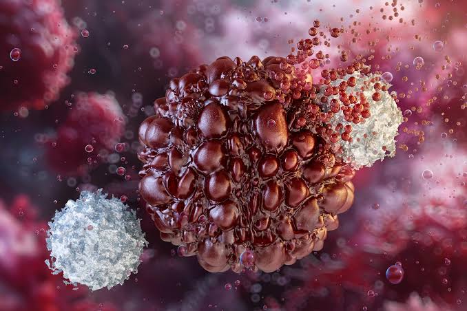 Scientists Stop Pancreatic Cancer Before It Starts in Landmark Preclinical Study