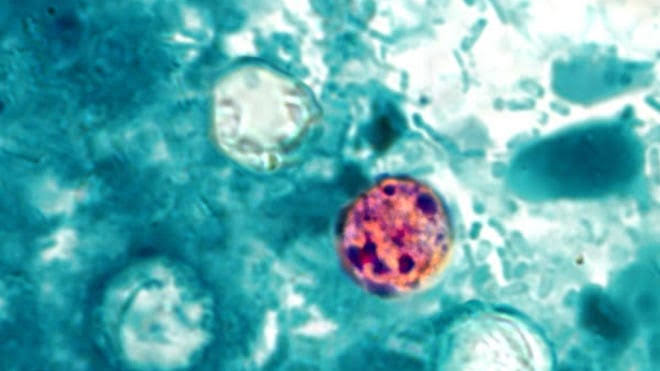Diarrhea illness numbers double in Ohio as experts still seek source