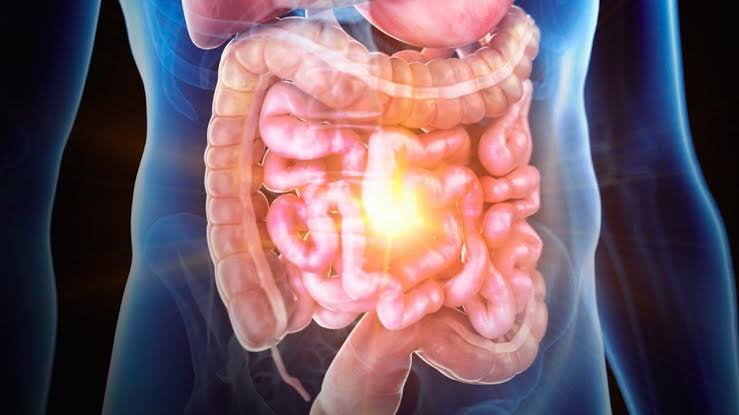 Inflammatory Bowel Disease Has Been Recreated on a Chip, And Scientists Could Finally Figure Out Its Cause