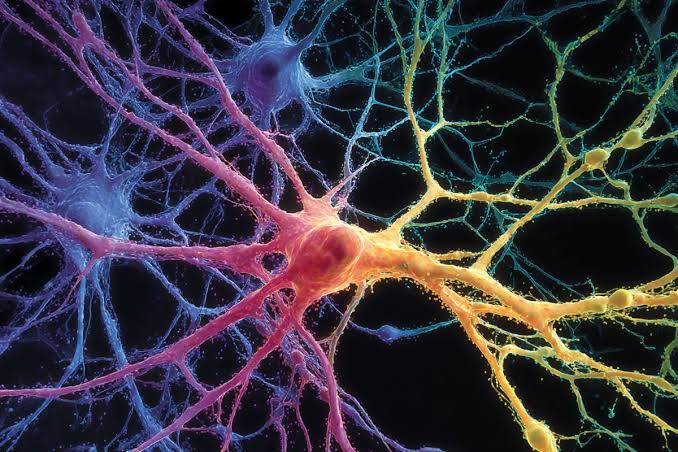 Genetic Maps Target Root Causes of Multiple Sclerosis