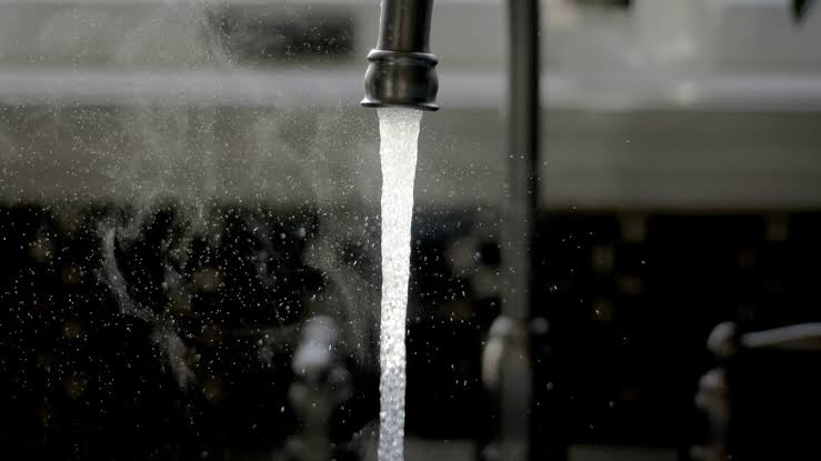 She Simply Rinsed Her Sinuses with Tap Water in Her RV—Then a Rare, Deadly “Brain-Eating” Amoeba Killed Her
