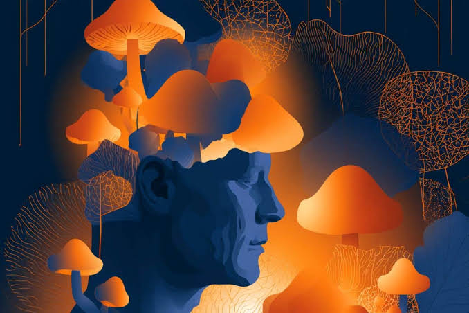 Psilocybin Unlocks Lost Memories in an Alzheimer’s Patient