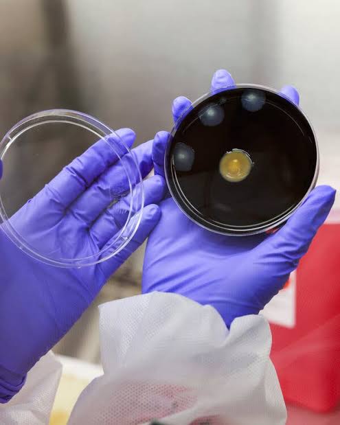 New York City Adopts Measures to Slow Legionnaires’ Disease Outbreak