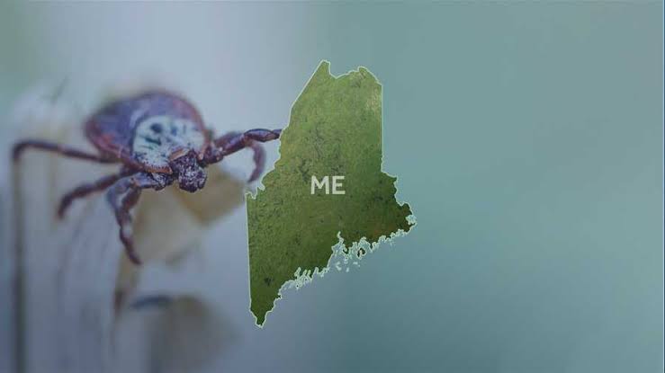 Another person in Maine sickened by the rare Powassan virus