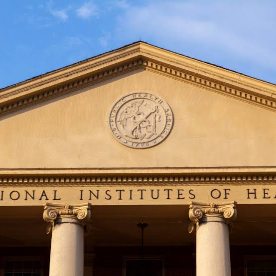 NIAID appoints new acting director after weekslong questions over leadership