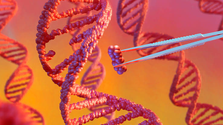 An experimental gene therapy killed a 6-year-old girl in China. Her parents are seeking accountability.