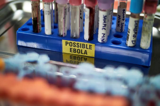Existing vaccines induce antibody response against the Ebolavirus that's driving Congo outbreak