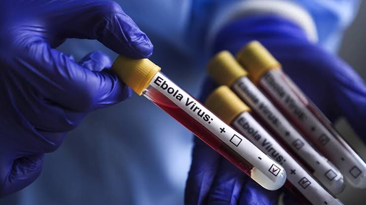 Italy reports two suspected Ebola cases after Uganda trip