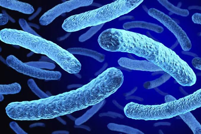 4 dead in Upper East Side Legionnaires’ disease outbreak
