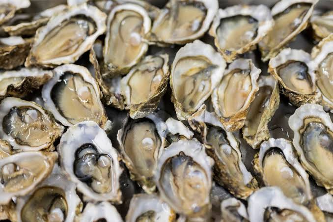 A Dangerous Bacteria Is Moving Up the East Coast. Here’s What That Means for You