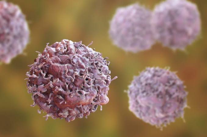OHSU researchers discover new treatment path for cancer