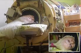 Oklahoma woman Martha Lillard, last US polio patient using iron lung, dead at 78