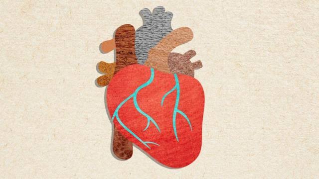 New Cholesterol Guidelines Are Here: Doctors Share the Biggest Changes