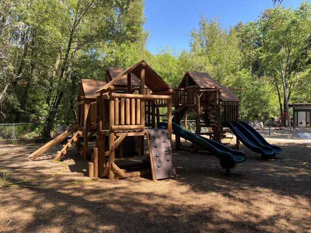 Flea infestation closes popular North Bay playground