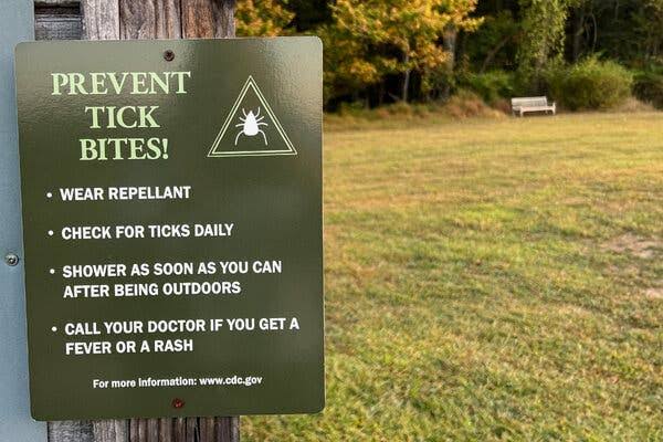 Ticks Are on the Move. Here Are the Risks in Your Region.