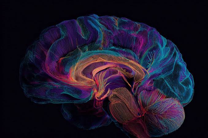 Brain Region Discovered for Abstract Thought