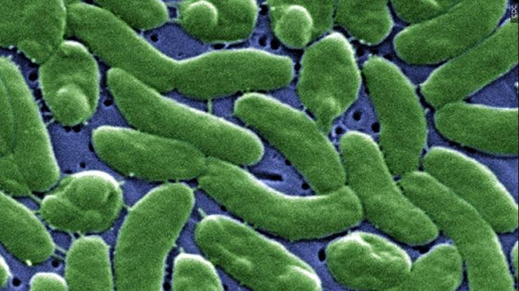 LDH: Flesh-eating bacteria has hospitalized 9, killed 5 so far this year