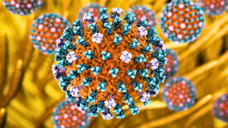 H9N2 Bird Flu Hits Europe as First Human Case Confirmed in Italy
