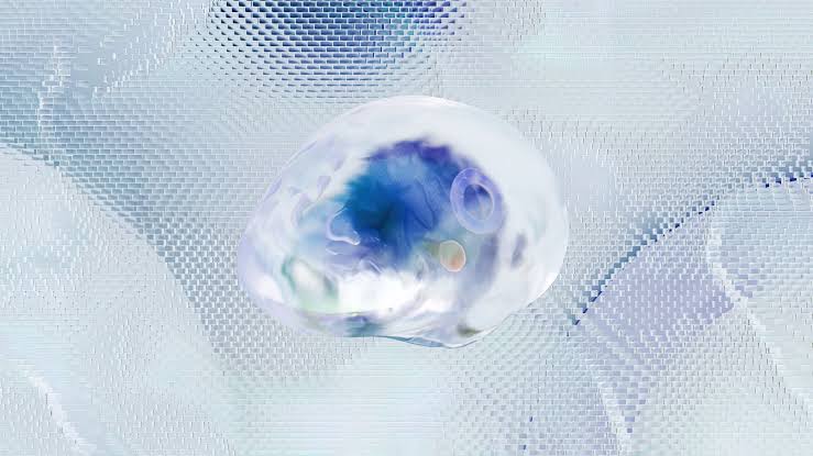 Neuroscientists long believed you are born with all the neurons you will ever have — in 2025, researchers found newly formed neurons in the brains of adults as old as 78, overturning decades of settled thinking