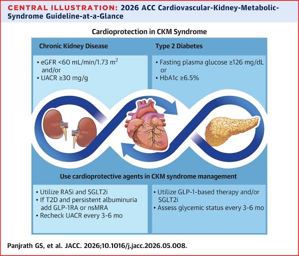 First-Ever Guideline Addresses CKM Syndrome