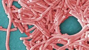 New York City issues Legionnaires' disease warning for Upper East Side