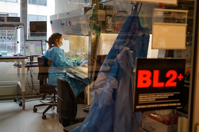 US Scientists Sequence 1,000 Genomes From Measles, a Disease Long Eliminated With Vaccines