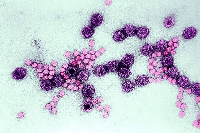 The Bay Area towns hit hardest by a highly-contagious diarrheal illness