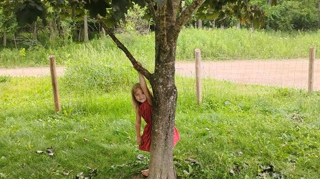 6-year-old Shawano County girl bit by bat with rabies, getting vaccine