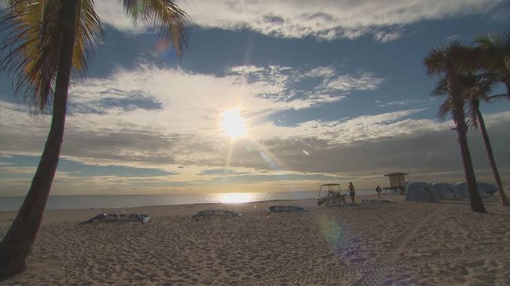 'Flesh-eating' bacteria kills 7 in Gulf Coast states. What to know about Vibrio vulnificus.