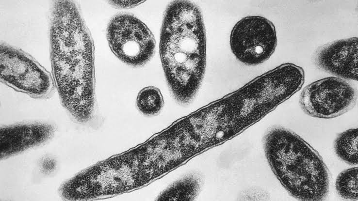 Legionnaires' outbreak slows as NYC continues cleaning cooling towers