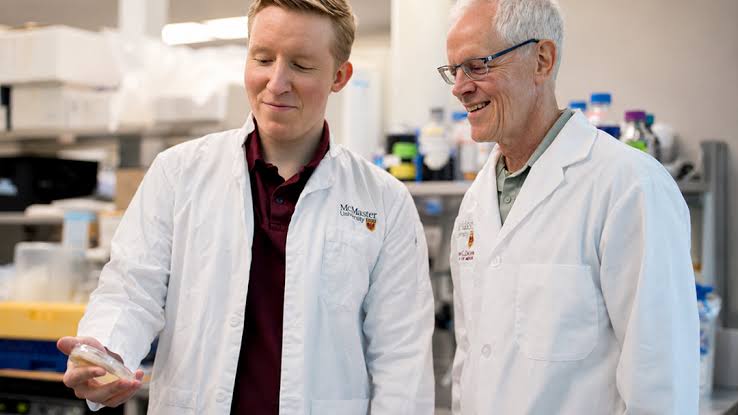 Landmark study reveals ‘megacluster’ of bacterial genes behind arsenal of potent antibiotics