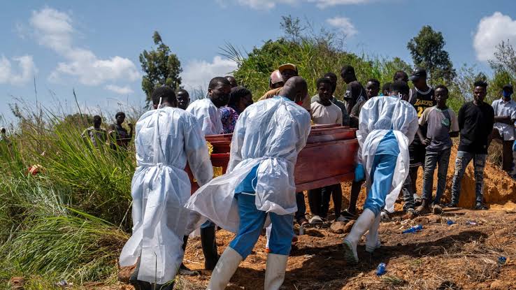 How Ebola kills — and what it takes to stop it