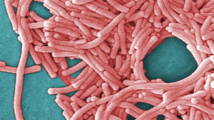 Upper West Side building residents told legionella found in hot water system