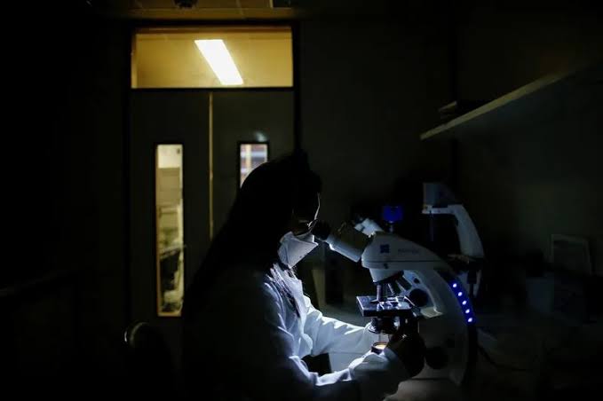 Older drug reprograms white blood cells, improves blood sugar in type 1 diabetes