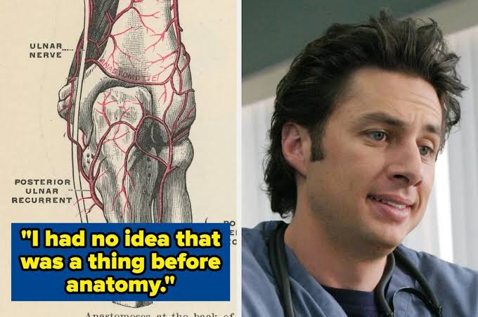 19 Human Body Facts That Genuinely Blew Med Students' Minds In School