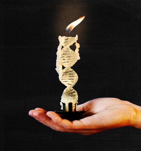 One way to live longer: Win the genetic lottery