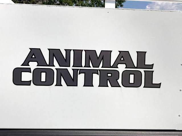 Rabid Cat Euthanized In East Bay