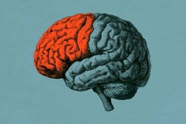 Prefrontal Cortex Can Block Creative Problem-Solving